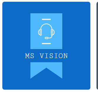 MS VISION